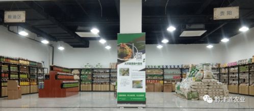 貴州戶戶達 以農產品展示體驗中心為橋，守護家鄉(xiāng)風味，服務會務展覽